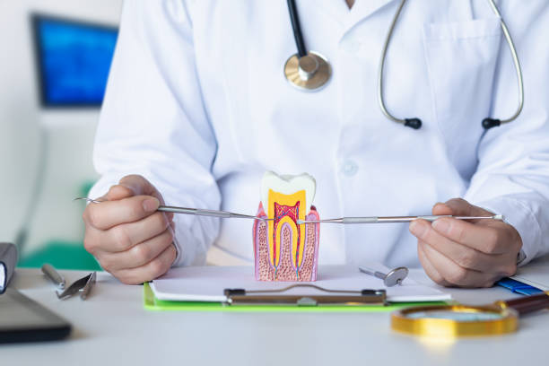 Best Emergency Root Canal Treatment in Marrero, LA